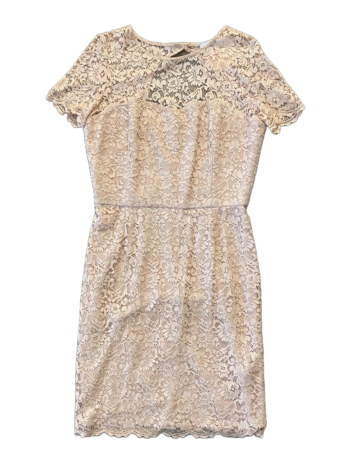 Blumarine Lace Dress - Baby Pink - Extra Large